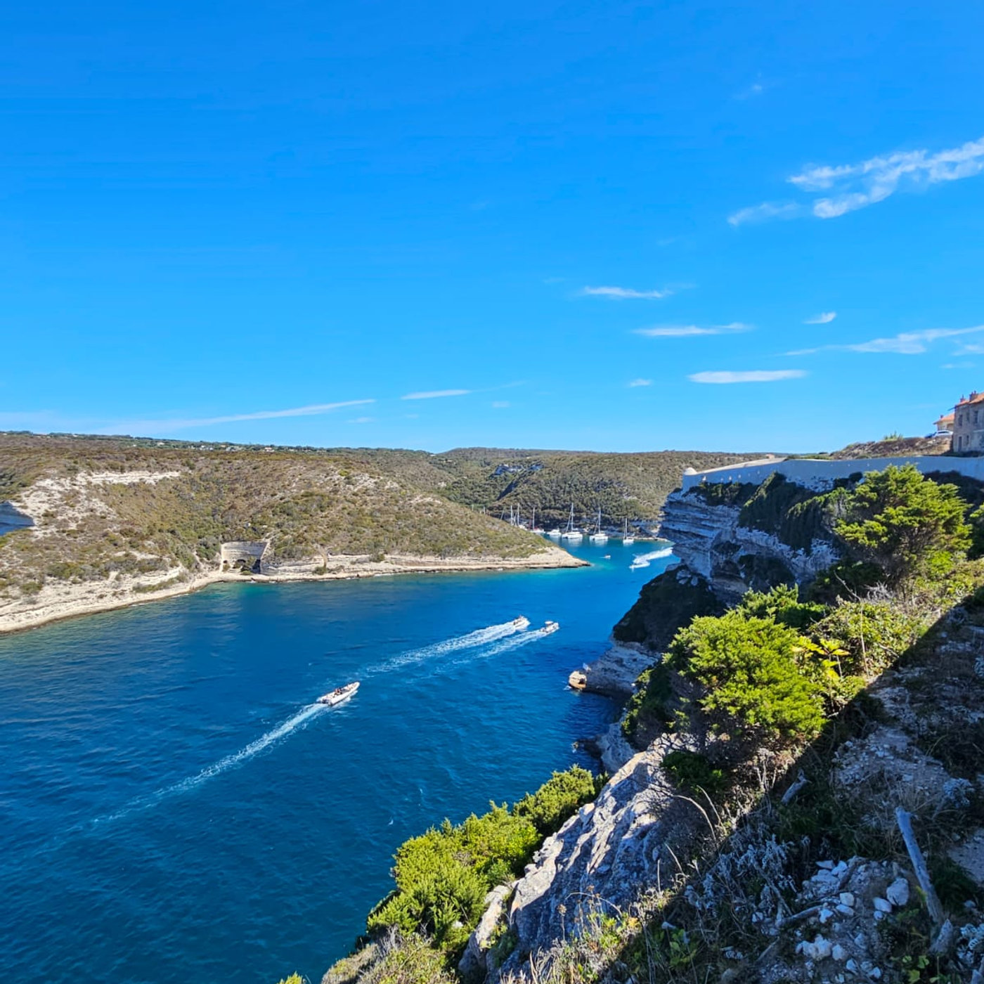 Baie sauvage de Corse-du-Sud bordée de maquis méditerranéen, aux eaux transparentes turquoise sous un ciel dégagé.
