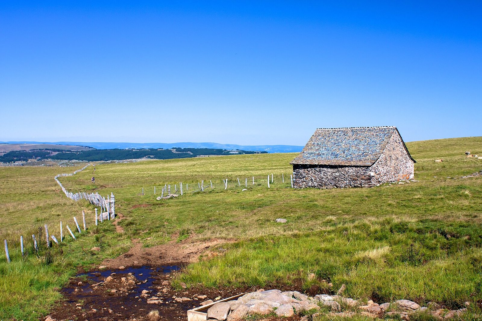 Aubrac
