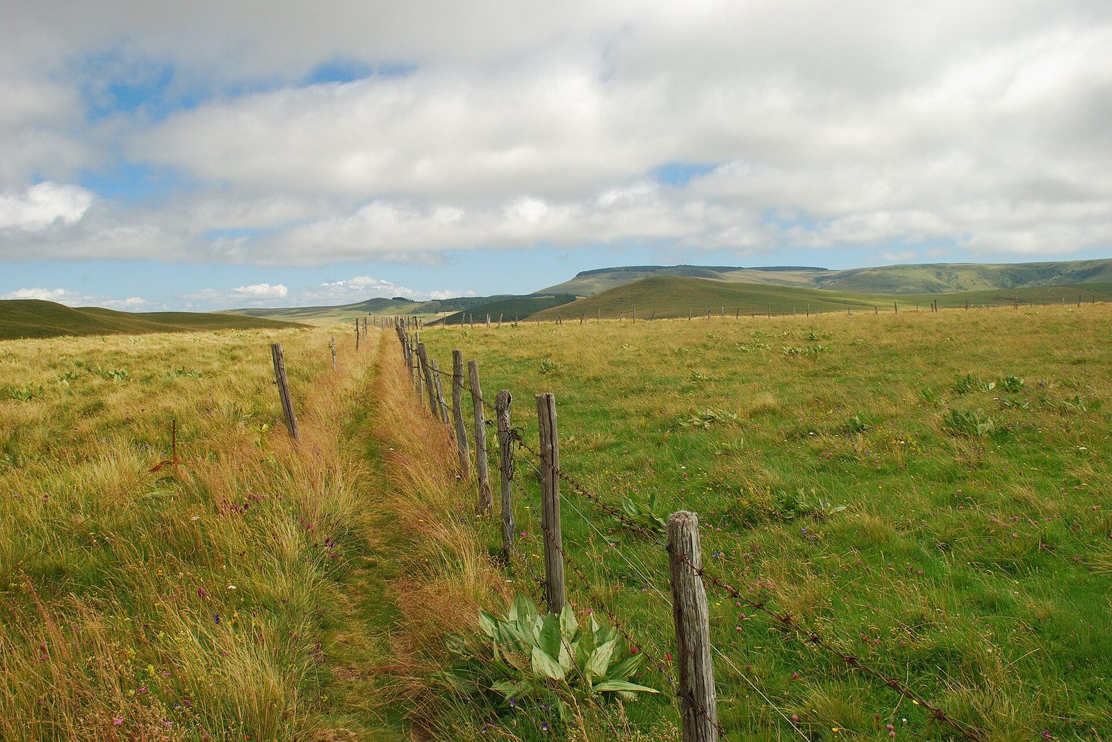 Auvergne