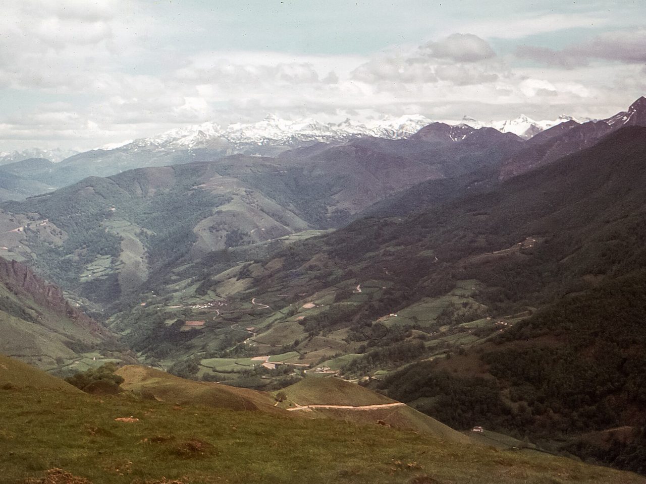 Hêtraie de la forêt d'Iraty près du col d'Orgambidesca, au Pays basque