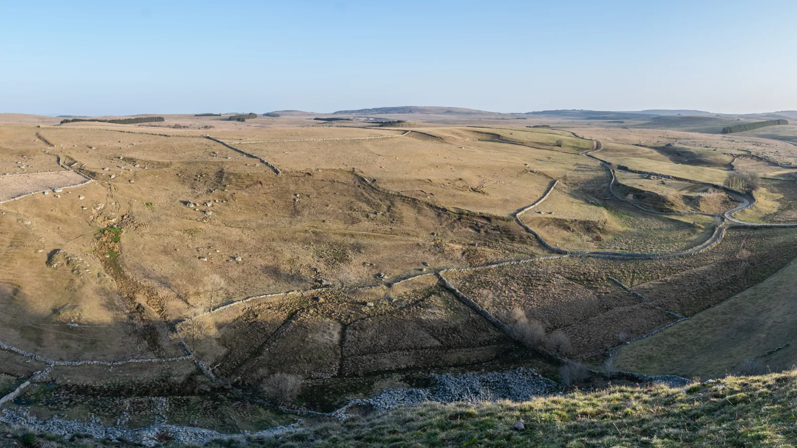 Plateau de l'Aubrac au printemps : estives dorées, murets de pierre sèche et vallon sauvage sous un ciel bleu, un paysage de nature préservée en France