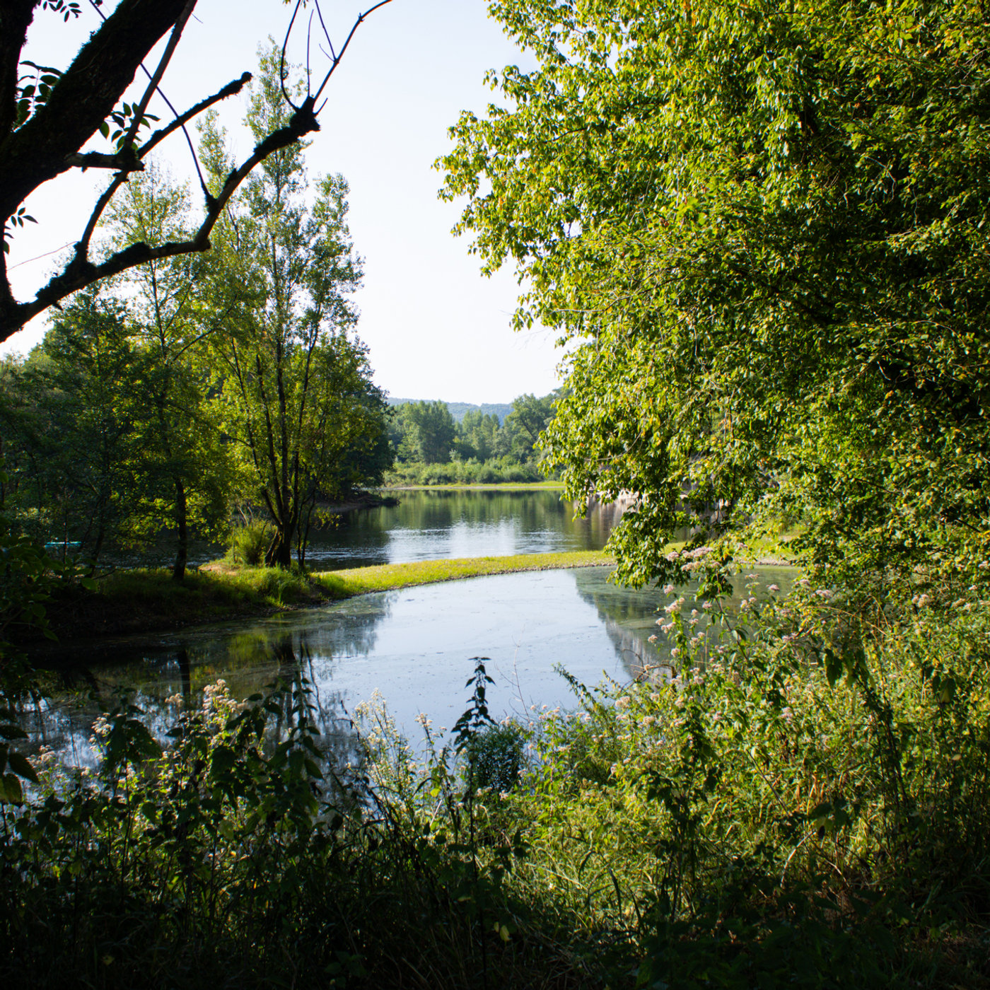 Rivière Dordogne serpentant entre falaises calcaires et forêts de chênes verts en Périgord, sous une lumière douce de fin de journée.