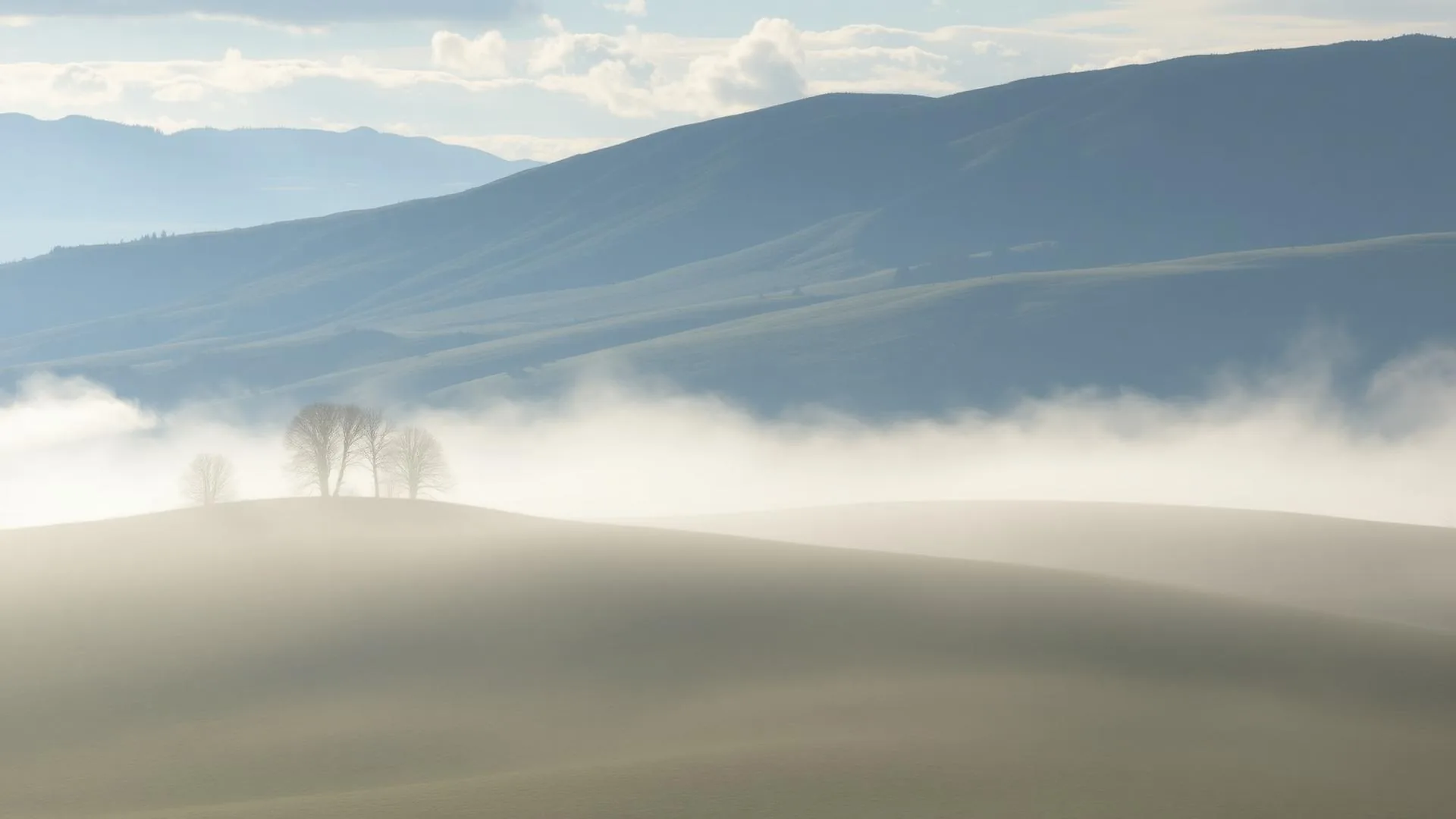 Plateau de l'Aubrac en Lozère sous une brume matinale, paysage paisible et préservé.