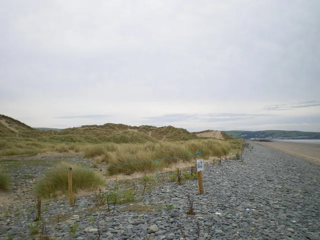 Réserve de nidification protégée au cœur des dunes côtières : un refuge de biodiversité à respecter pendant les vacances nature.