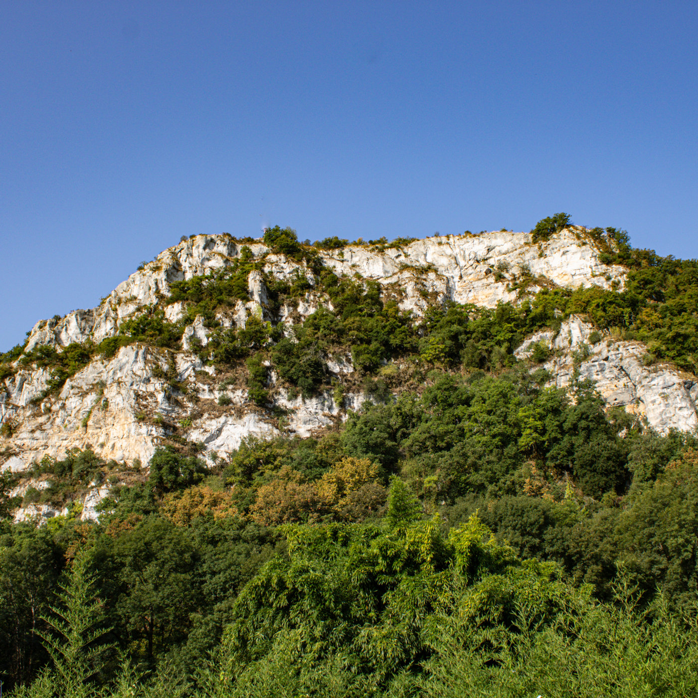 Sentier de randonnée surplombant les falaises boisées du Roc Coulon en Dordogne, avec vue plongeante sur la rivière en contrebas.