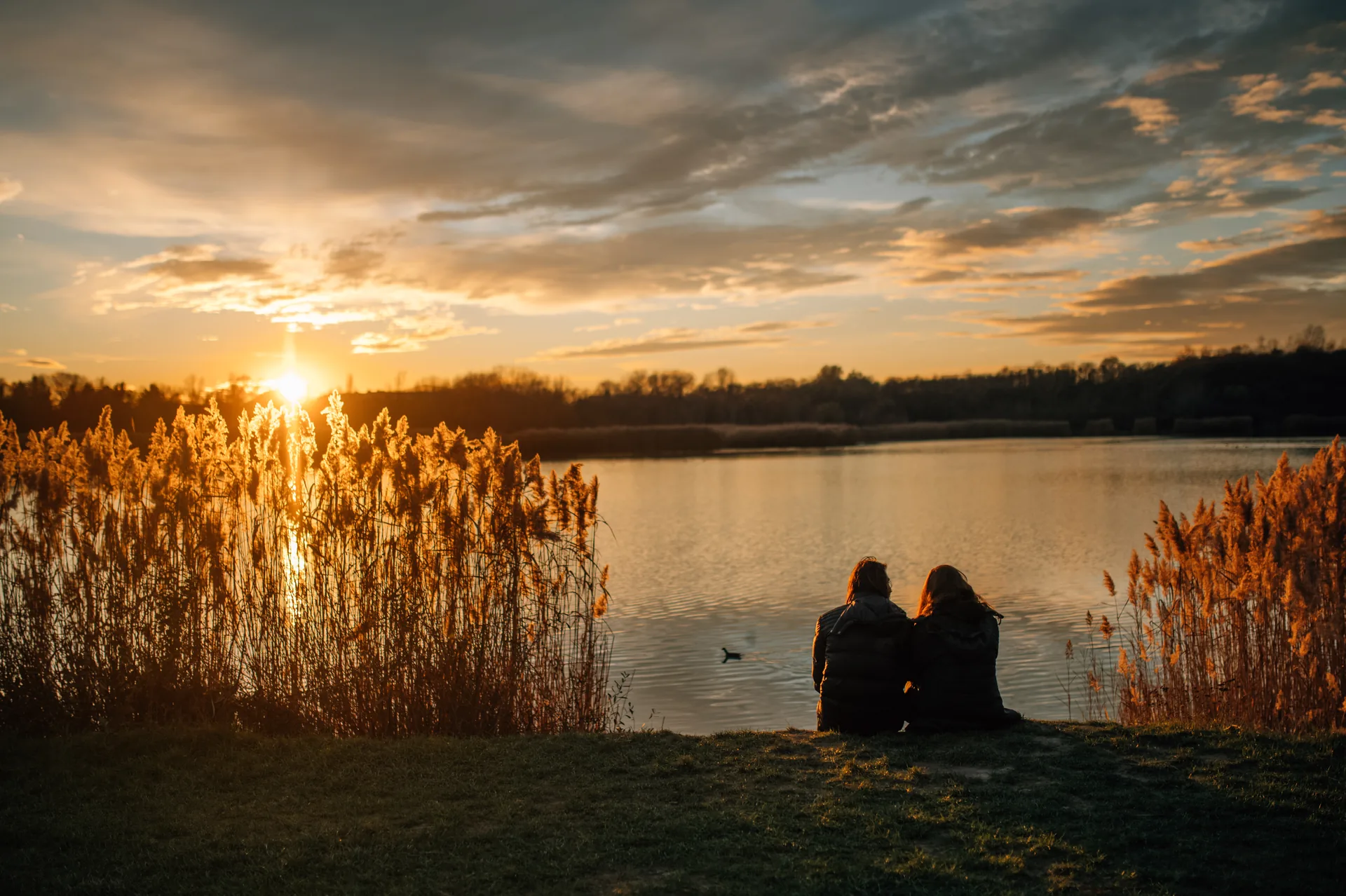 Couple assis de dos au bord d'un lac au coucher du soleil, entouré de roseaux, lors d'un séjour en amoureux dans la nature.