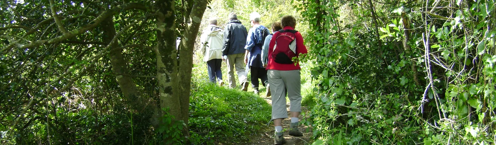 Groupe de promeneurs de plusieurs générations marchant en file sur un sentier côtier ombragé en Bretagne, près de Logonna-Daoulas — séjour intergénérationnel éco-responsable.